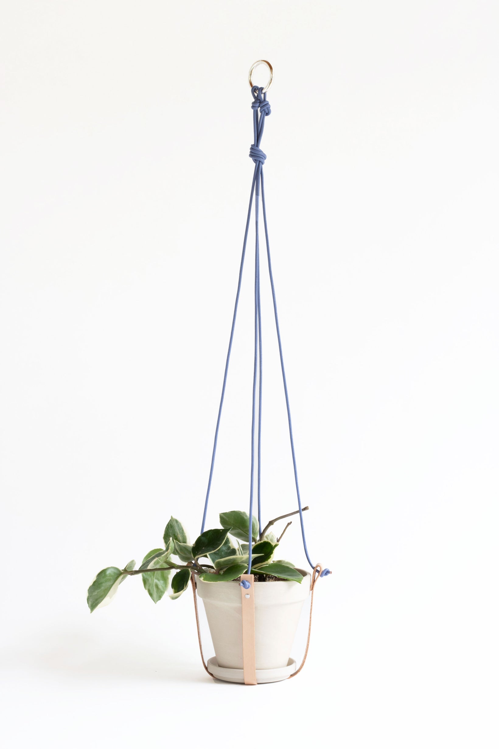 Bruna Andreoni Plant Hanger Blue Violet / Silver