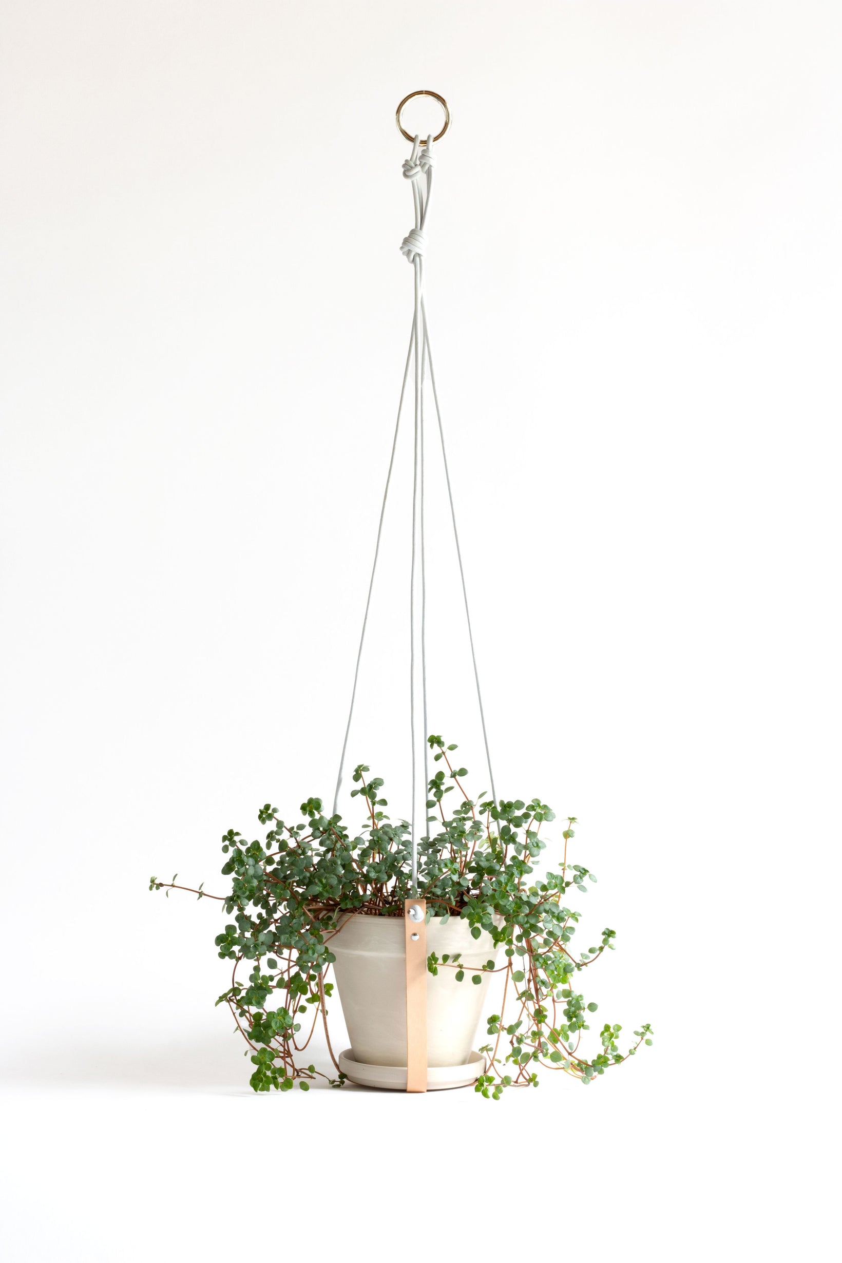 Bruna Andreoni Plant Hanger White / Silver